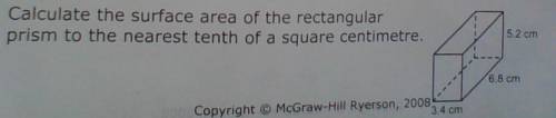 Calculate the surface area of the rectangular prism to the tenth of a square centimetre