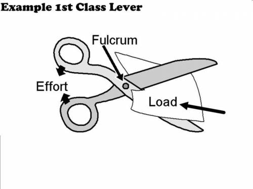 30. Why are scissors considered a first class lever? *

A.They aren't. Scissors are a third class l