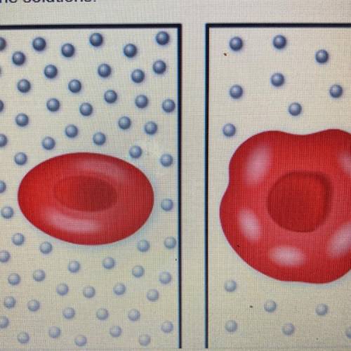 The image on the left shows a normal red blood cell,

and the image on the right shows a cell that