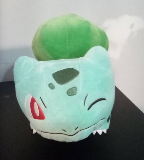 This is the plush i got​