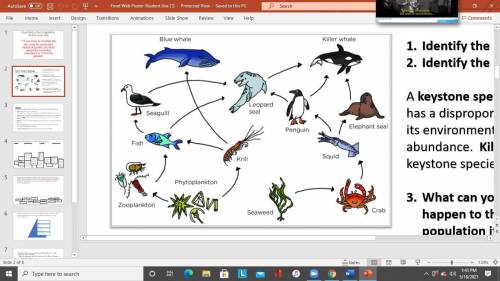 can someone pleaseeee help me with this so basically do a food web with these animals ( the food we