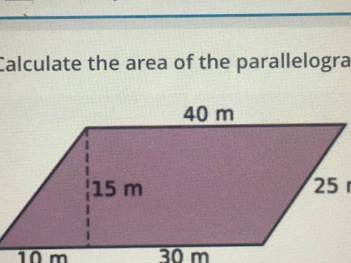 Calculate the area of the parallelogram, in m2