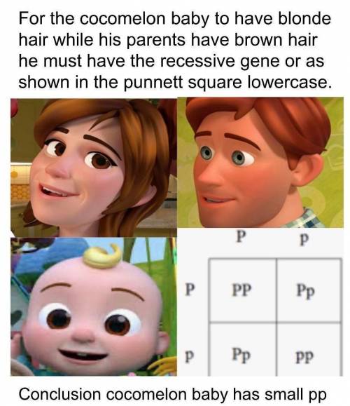 So confused on this logic. How do punnet squares work? hmmm I wonder...