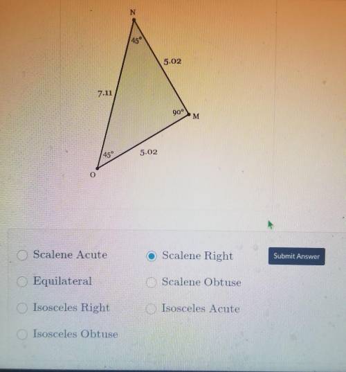 Please help . Determine the type of triangle that is drawn below. ​