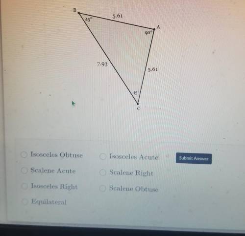 HELP PLS!!! Determine the type of triangle that is drawn below. ​