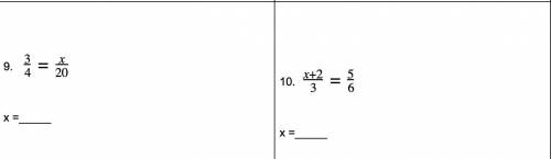 What does x equal????????????????//
