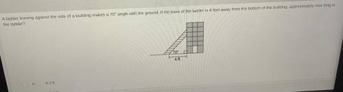 Help me I really need help with this answer