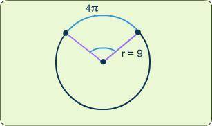 Select the correct answer.

What is the measure of the indicated central angle ?
A. 
40°
B. 
80°
C