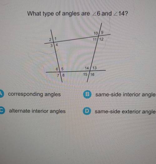 What types of angles are these? see attachment​