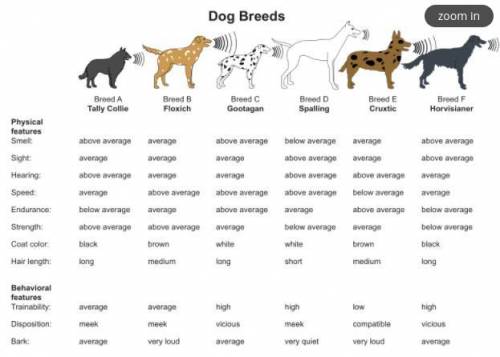 Here are six breeds of dogs and the various abilities based upon their preferred characteristics. S