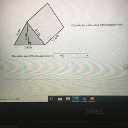 It is talking about the surface area i on f the triangular prism