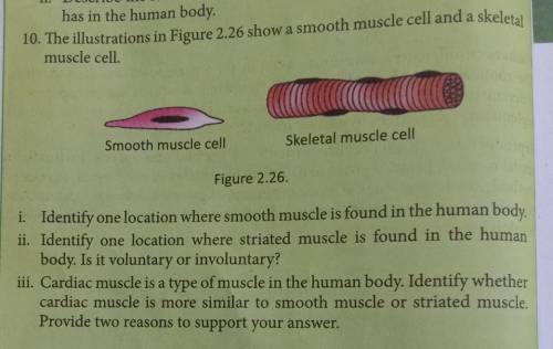 Please help me to solve this question. I have to submit.​