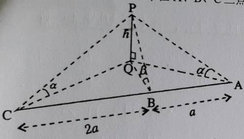 Please help me on this. It would mean a lot to me.

1 ) prove that h²(cot² α - cot² β) = 2α²2 ) if