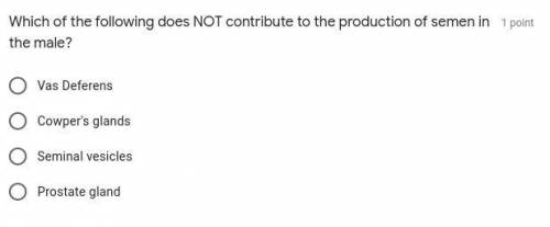 Which of the following does NOT contribute to the production of semen in the male?