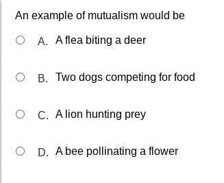 Number 4 plss answer