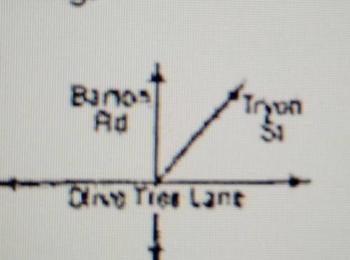 Barton Road and Olive Tree Lane form a right triangle at their intersection. Tryon Street forms a 5