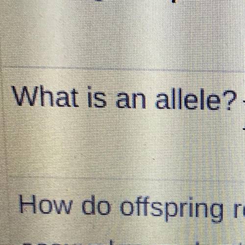 What is and allele I need helppppp plssss