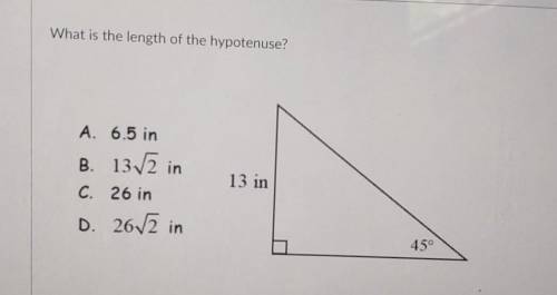 What is the length of the hypotenuse? 13 in 45 marking brainliest and giving thanks to all!!