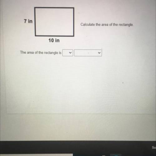 Please help with the problem and please give the write answer.