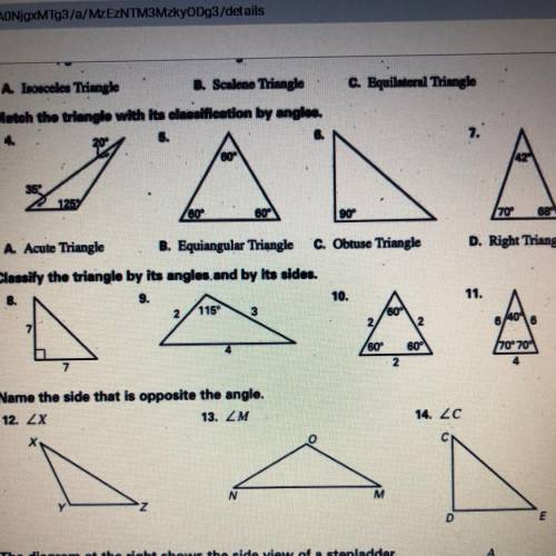 Pls help with #8,9,10,11