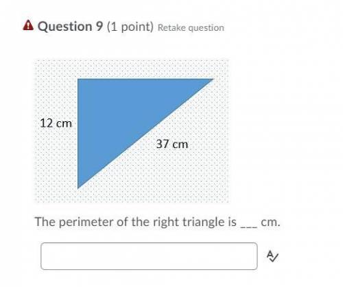 SOMEONE PLEASE HELP ME!! i would really appreciate your help!

the perimeter of the right triangle