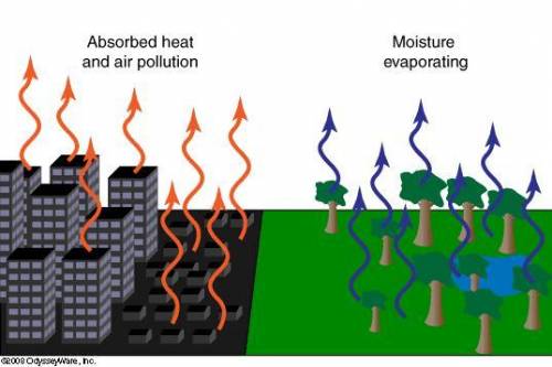 What conclusion can you draw from the following image?

The air in cities is likely to be hotter t