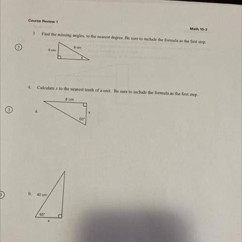 Grade 10 Trigonometry please show work !