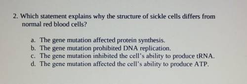 Which statement explains why the structure of sickle cells differs from normal red blood cells?

a