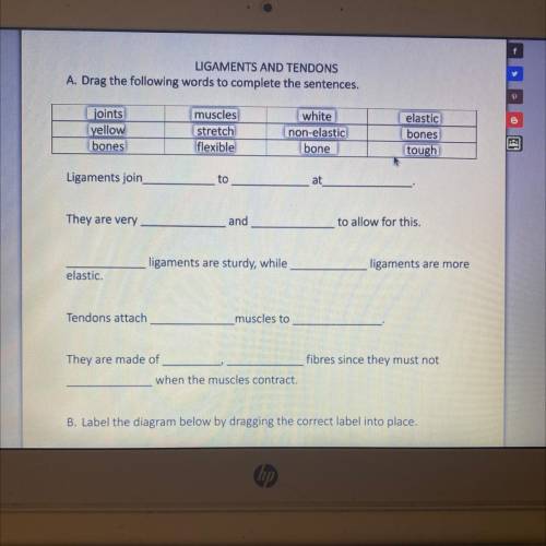 Can you guys please fill this out ASAP I will give 100 points subject says science don’t really kno