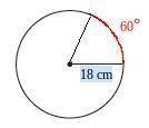 What is the length of the arc shown in​ red?