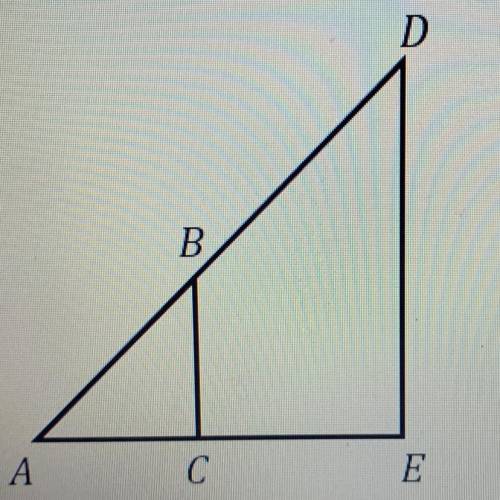 Which point would represent the center of dilation A,B,C,D,E