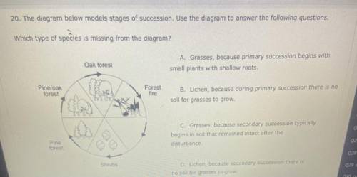 The diagram below models stage of succession. Use the diagram to answer the following questions. Wh
