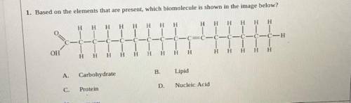 Based on the elements that are present, which biomolecule is shown in the image below?