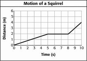 During which time interval is the squirrel traveling at the fastest speed?

1–2 min
2–3 min
5–6 mi
