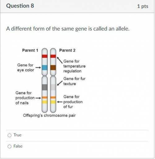 PLs, help with this question ASAP