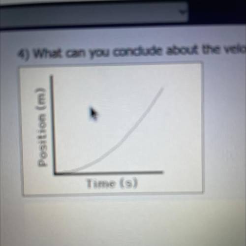 (NO LINKS) what can you conclude about the velocity of the object on the graph