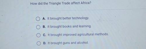 How did the Triangle Trade affect Africa?​