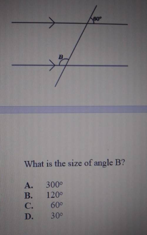 What is the size of angle B?А.3000°B.1200°C.600°D.30°​