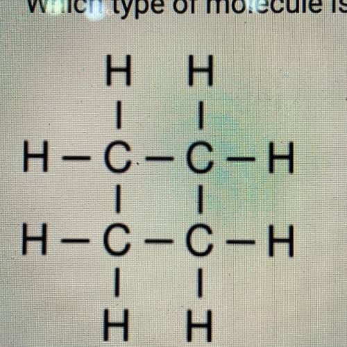 Which type of molecule is shown below?

A. Cyclic alkene
B. Alkene
C. Alkyne
D. Cyclic alkane