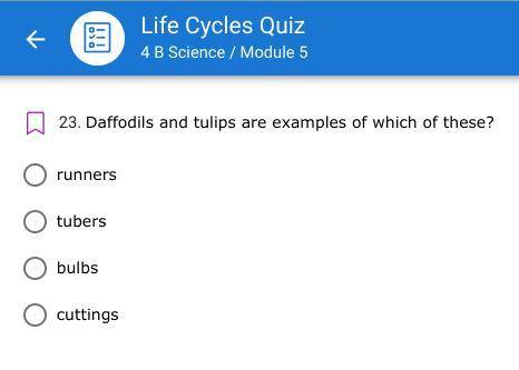Daffodils and tulips are examples of which of these?
