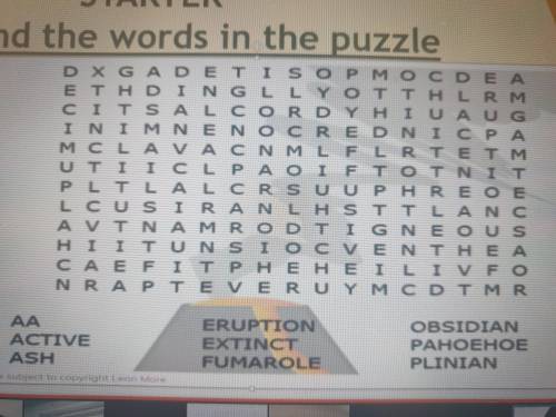 Help? try to find as much words as you can from the list