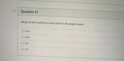 Hello can someone answer this question please