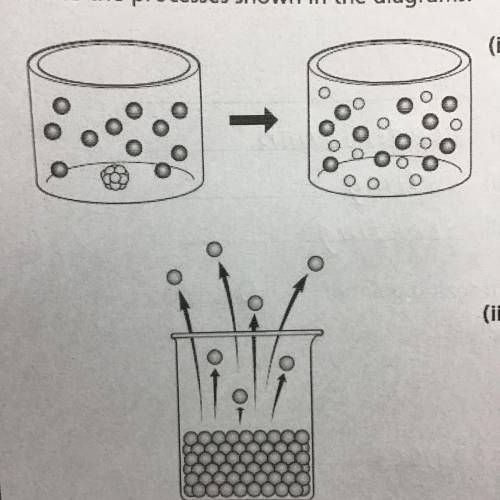 WHAT DO THESE DIAGRAMS MEAN PLS HELP