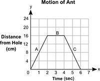 Plz help  30 points

The distance, y, in centimeters, of an ant from a hole in the tree for