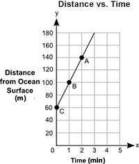 PLZ help 30 points

(05.05 MC) The graph shows the depth, y, in meters, of a shark from the surfac