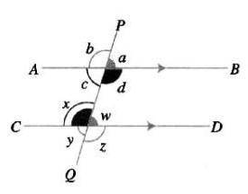 A transversal line PQ cuts two parallel lines in the following figure

(i) Write two pairs of the