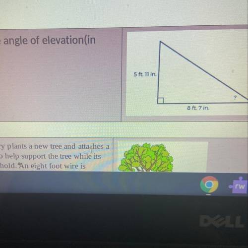 Can you help me find the angle of elevation in the angle ?