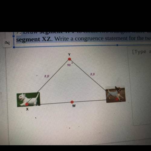 draw a segment WY to create two triangles where w is the midpoint of segment XZ.write a congruence