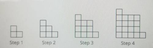 Please help asap!

1. Here is a pattern of squares. S represents the number of small squares in th