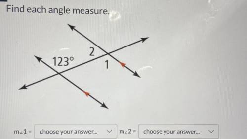 Find each angle measure
Options: 67°, 57°, 123°, cannot be determined